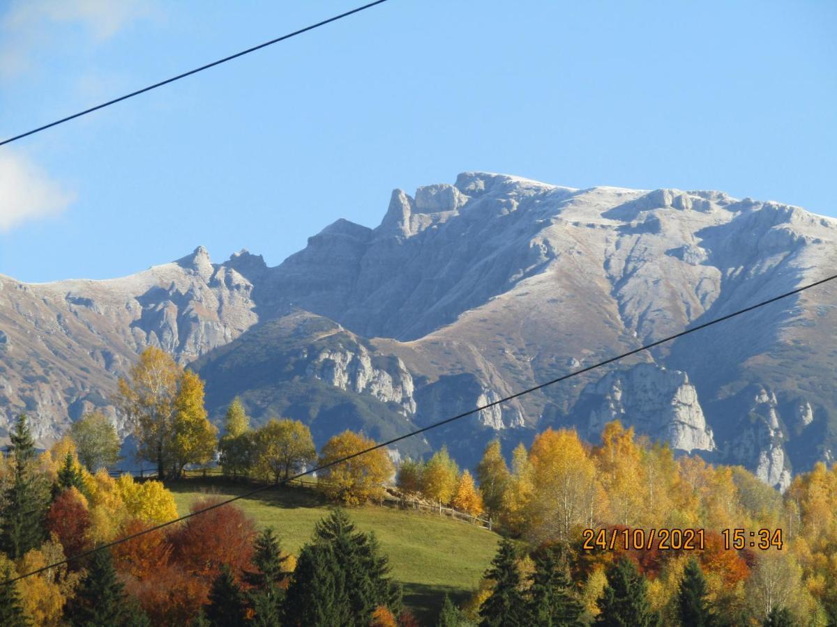 Ograda De La Munte Villa Bran  Buitenkant foto