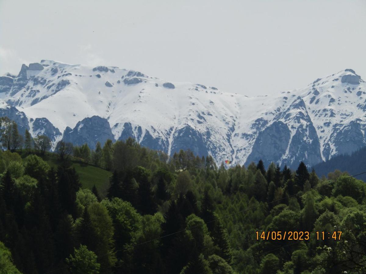 Ograda De La Munte Villa Bran  Buitenkant foto