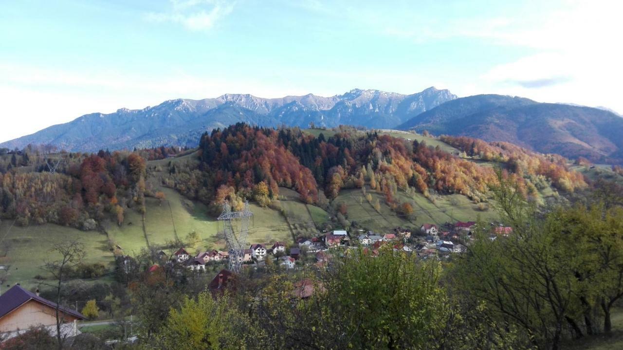 Ograda De La Munte Villa Bran  Buitenkant foto