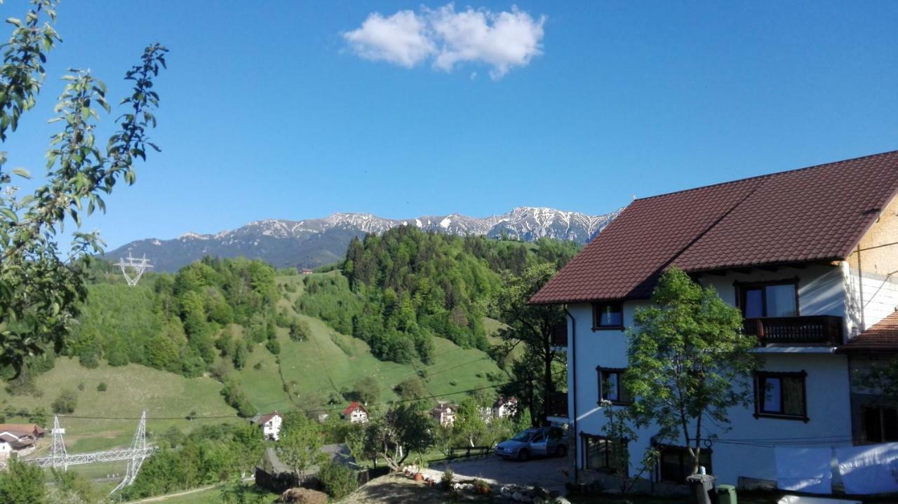 Ograda De La Munte Villa Bran  Buitenkant foto